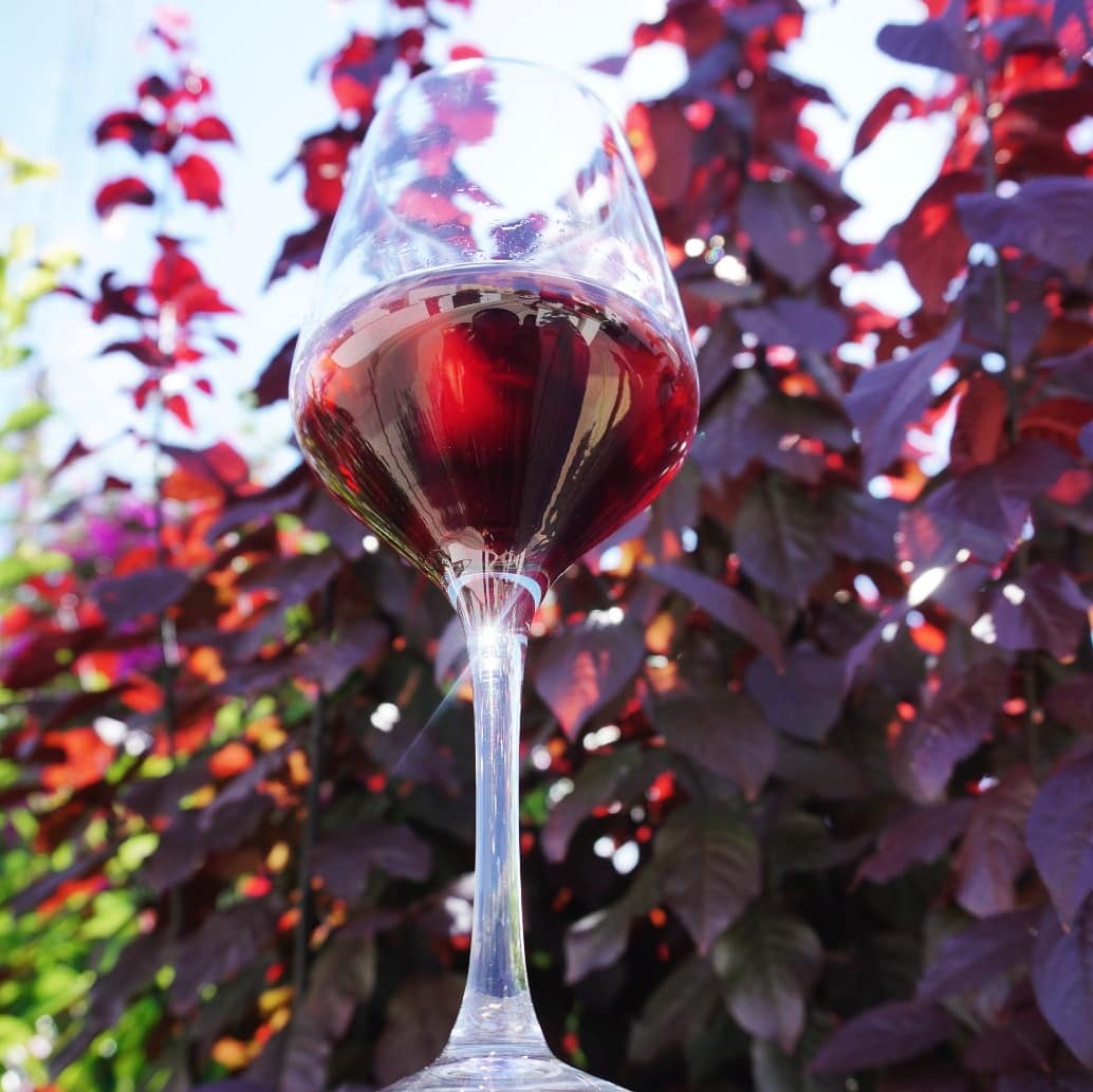 Vinos Tintos Naturales