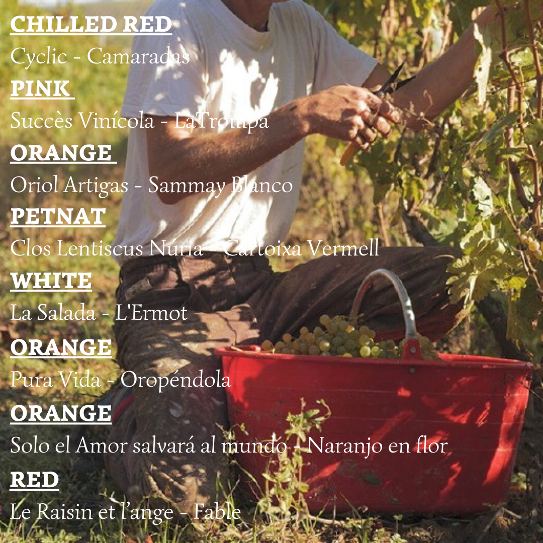 Summer Grand Finale - Natural Wine Pack