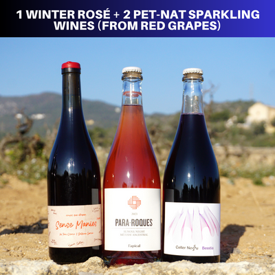 Winter Natural Wine Pack (preventa) hasta 11 febrero