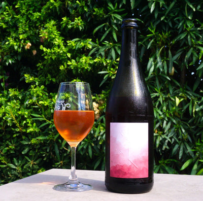 Pampa Rosa by Anaïs Fanti