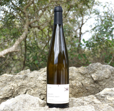Riesling RN422 by Domaine Julien Meyer