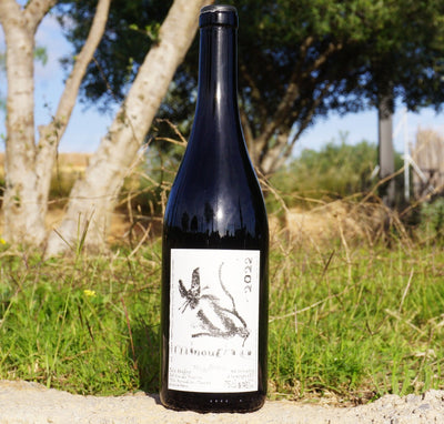 Minouche by Julie Balagny