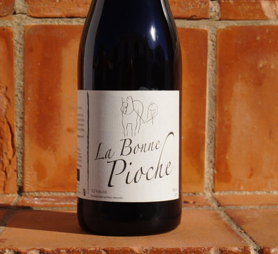 La Bonne Pioche by Michel Guignier