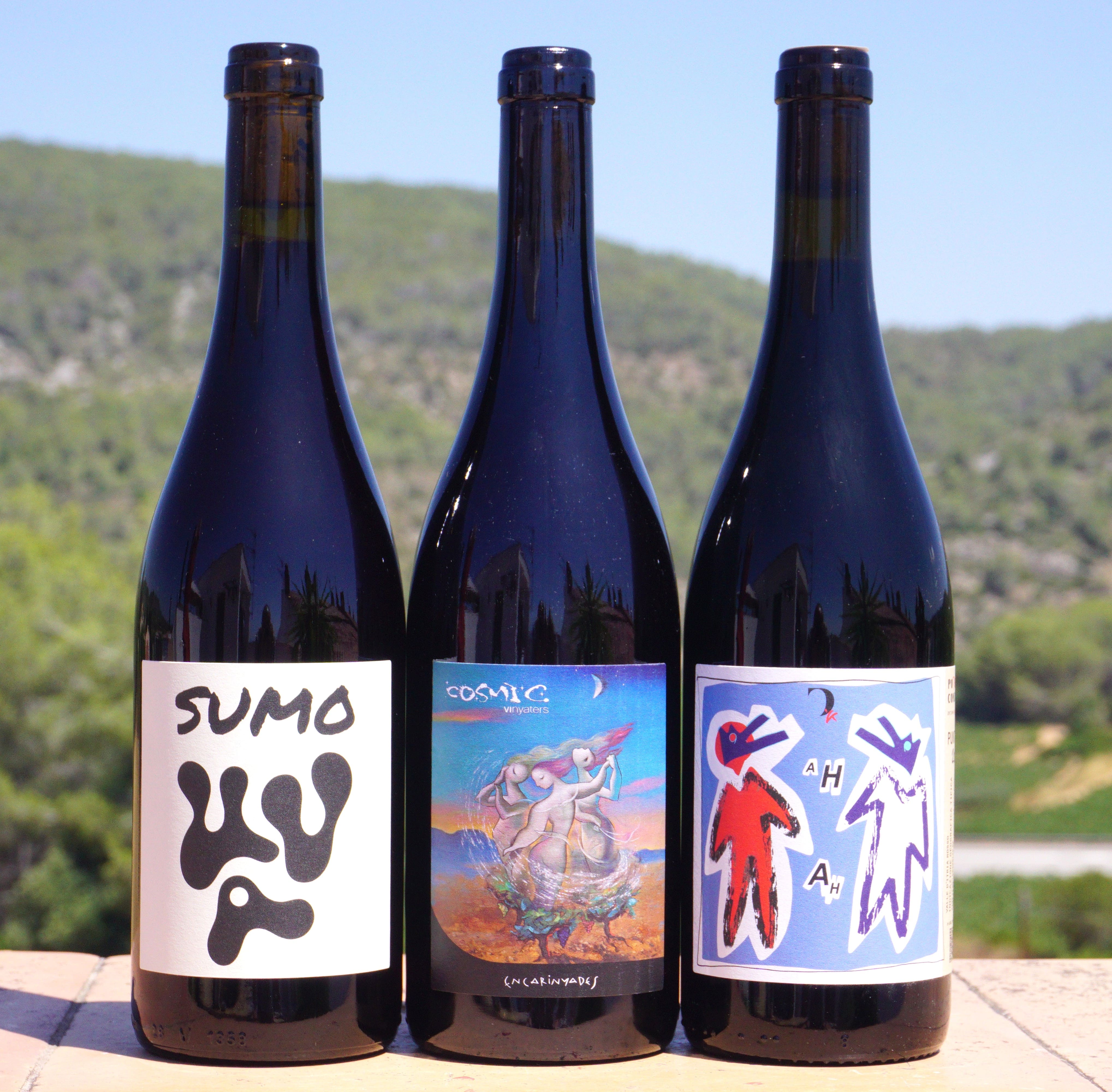 Tintos Ligeros y Frescos Mini-Pack (3 botellas)