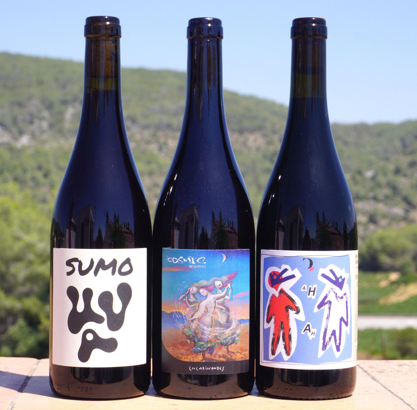 Tintos Ligeros y Frescos Mini-Pack (3 botellas)