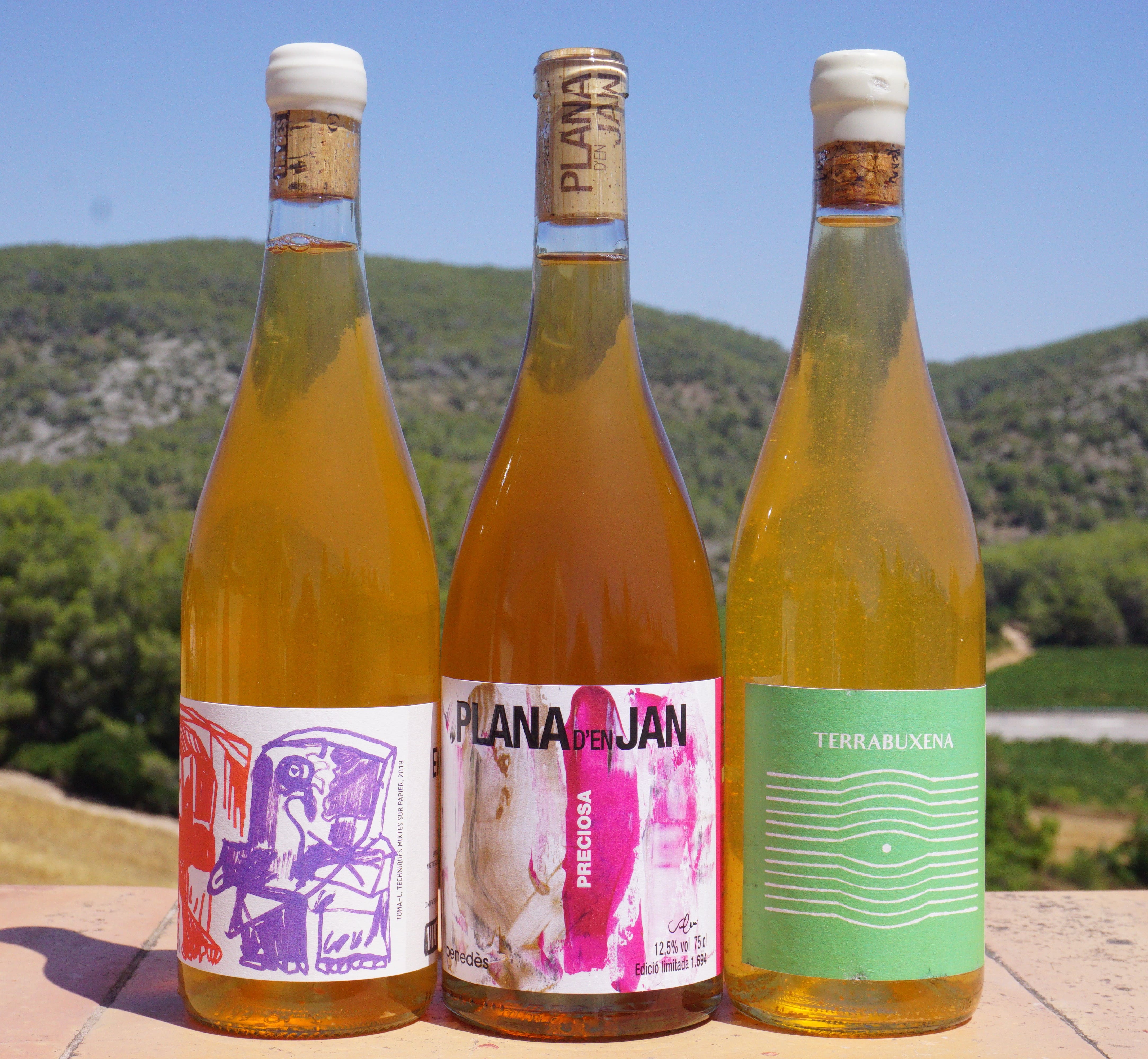 Orange Wines Mini-Pack (3 botellas)