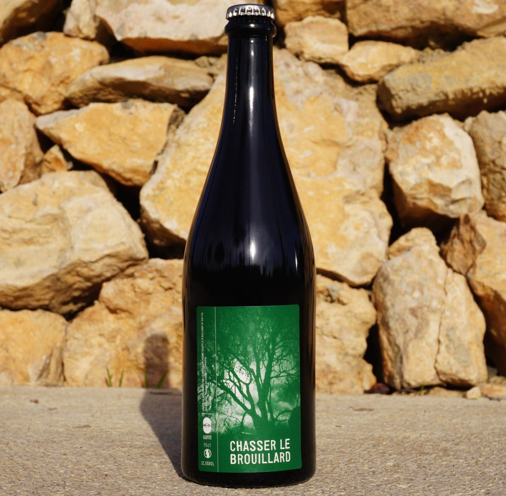 Chasser le Brouillard by Stephane Cyran