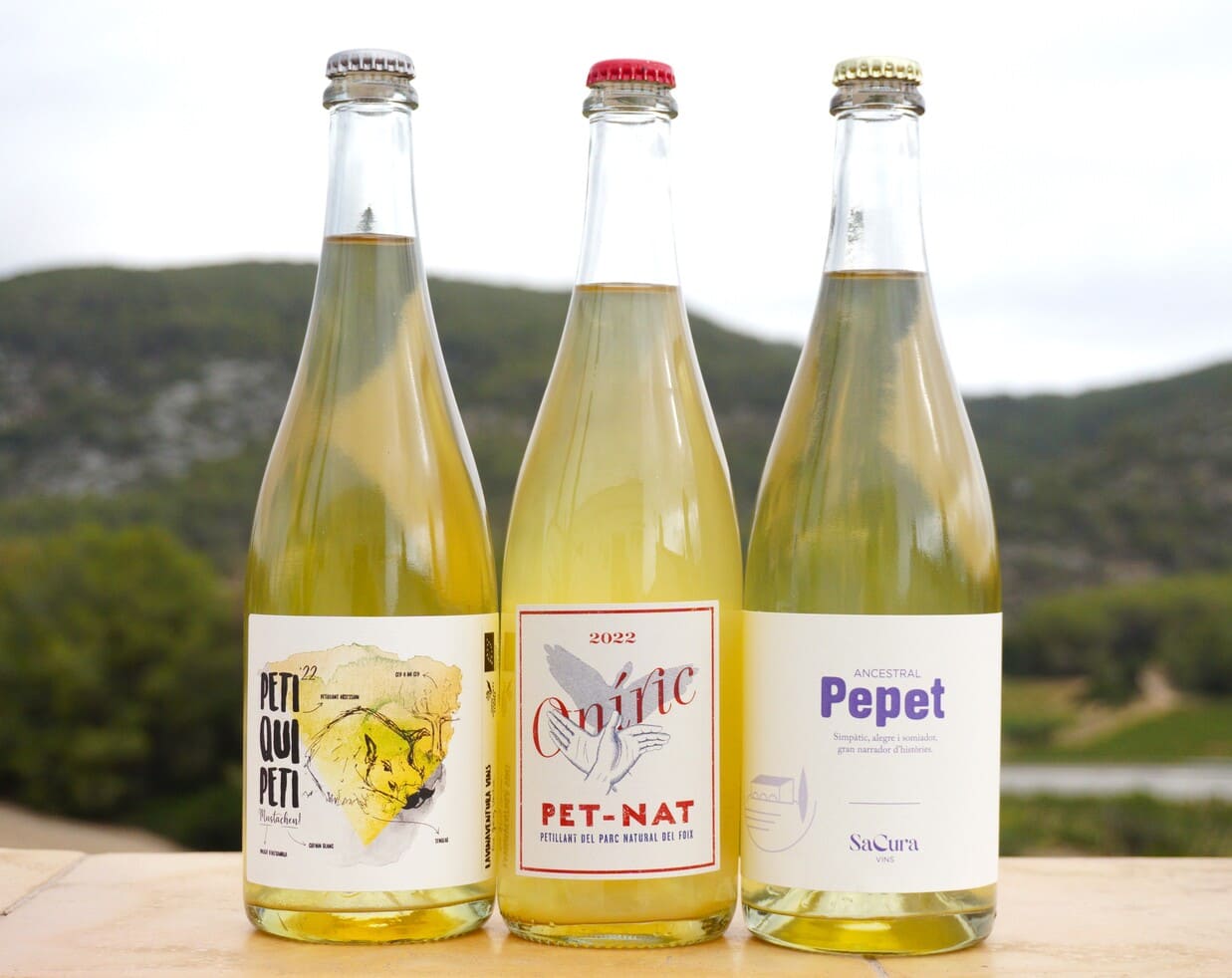 Ancestrales PetNat de verano (3 botellas)