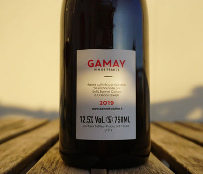 Gamay by Pierre Cotton